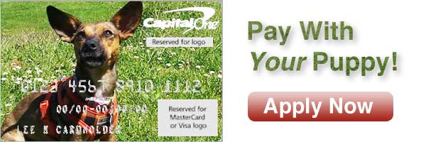 pay with your puppy personalized capital one credit card.jpg